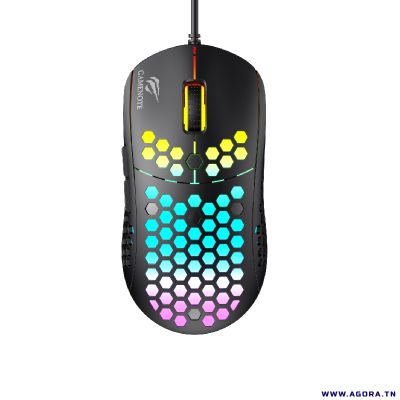 SOURIS OPTIQUE USB GAMER HAVIT HV-MS1032 RGB BACKLIT Programmable | agorav1.pi2r-dev.tech