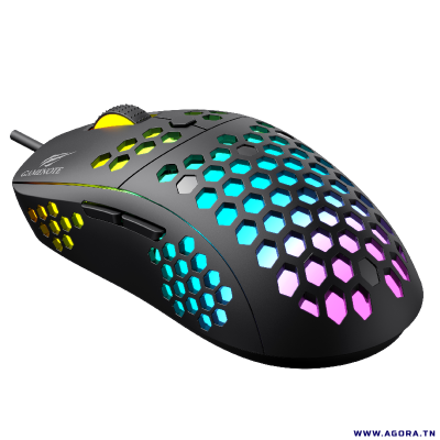 SOURIS OPTIQUE USB GAMER HAVIT HV-MS1032 RGB BACKLIT Programmable | agorav1.pi2r-dev.tech