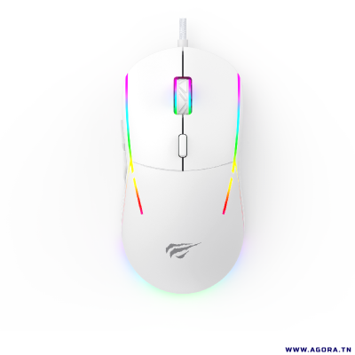 SOURIS OPTIQUE USB GAMER HAVIT HV-MS961 RGB BACKLIT Programmable | agorav1.pi2r-dev.tech