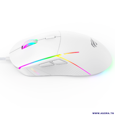 SOURIS OPTIQUE USB GAMER HAVIT HV-MS961 RGB BACKLIT Programmable | agorav1.pi2r-dev.tech