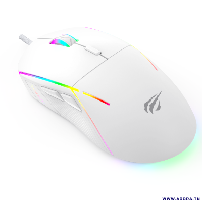 SOURIS OPTIQUE USB GAMER HAVIT HV-MS961 RGB BACKLIT Programmable | agorav1.pi2r-dev.tech