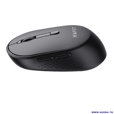 SOURIS OPTIQUE SANS FIL HAVIT MS78GT