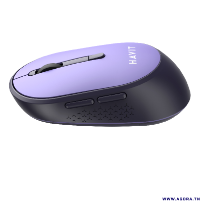 SOURIS OPTIQUE SANS FIL HAVIT MS78GT