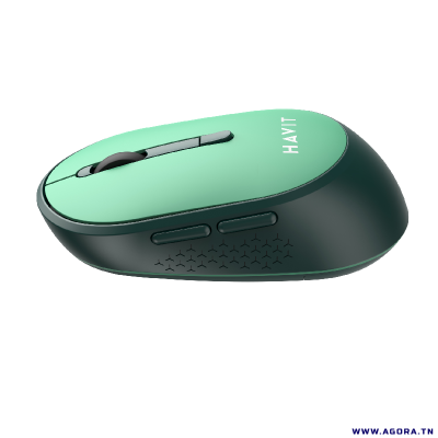 SOURIS OPTIQUE SANS FIL HAVIT MS78GT