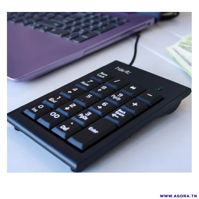 PAVE NUMERIQUE HAVIT KB223