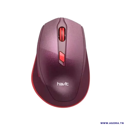 SOURIS OPTIQUE SANS FIL HAVIT MS76GT