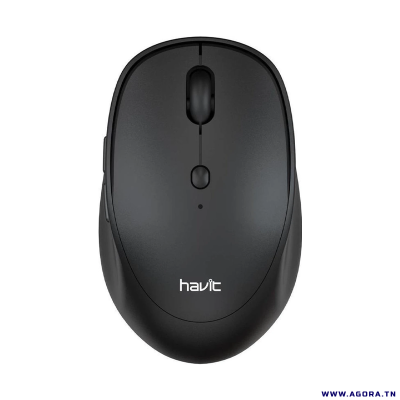 SOURIS OPTIQUE SANS FIL HAVIT MS76GT