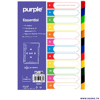 JEU DE 12 INTERCALAIRES CARTE IMPRIME PURPLE - ASSORTIS | agorav1.pi2r-dev.tech