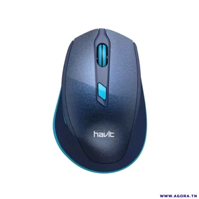 SOURIS OPTIQUE SANS FIL HAVIT MS76GT