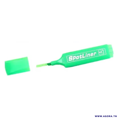 SURLIGNEURS FLUO SPOTLINER | VERT | agorav1.pi2r-dev.tech