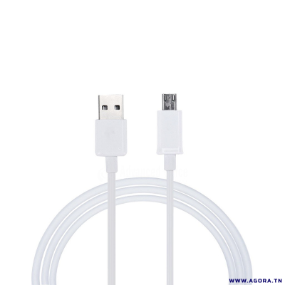 CABLE USB POUR ANDROID V8 1M | agorav1.pi2r-dev.tech