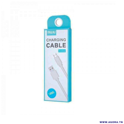 CABLE USB POUR ANDROID V8 1M | agorav1.pi2r-dev.tech
