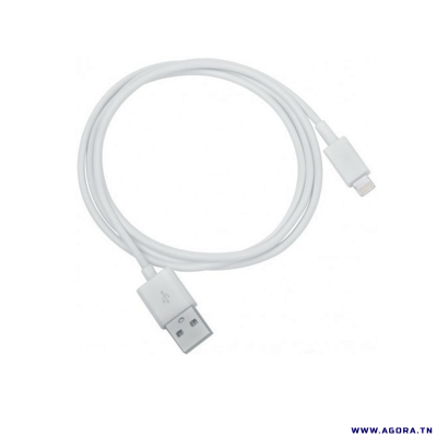 CABLE SMARTPHONE USB IPHONE 1M DEVIS | agorav1.pi2r-dev.tech
