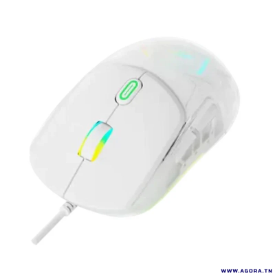 SOURIS OPTIQUE GAMER HAVIT MS965