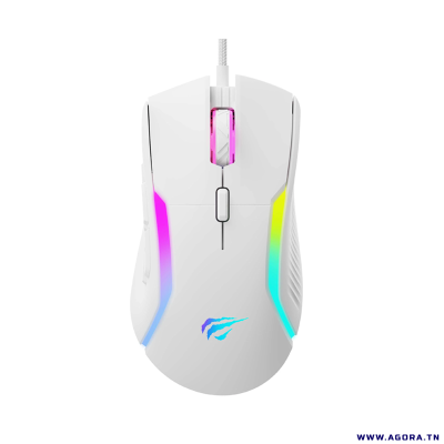 SOURIS GAMER HAVIT MS1033