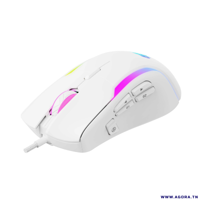 SOURIS GAMER HAVIT MS1033