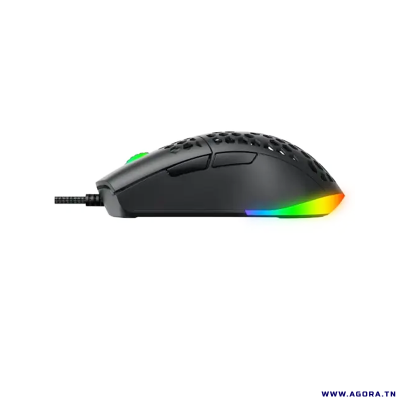 SOURIS OPTIQUE GAMER HAVIT HV-MS1036