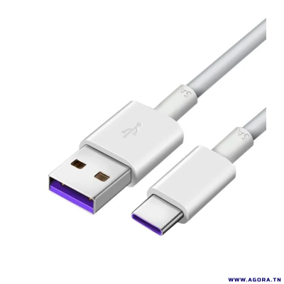 CABLE SMARTPHONE USB TYPE C 1M 5A BLANC