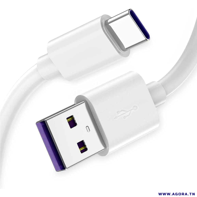 CABLE SMARTPHONE USB TYPE C 1M 5A BLANC