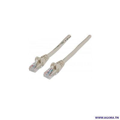 CORDON RESEAU 50M CAT6