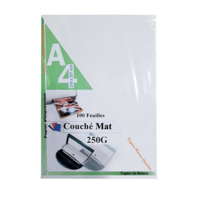100 X PAGE DE GARDE A4 COUCHE MAT 250G