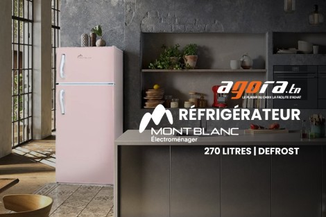 Meilleur réfrigérateur MontBlanc Defrost