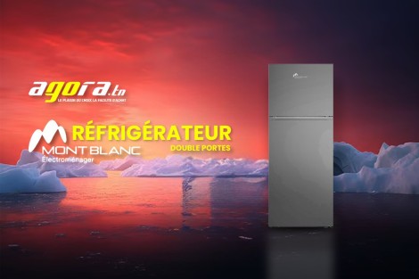 Réfrigérateur double porte MontBlanc 350 litres : Conseils d’utilisation et d’entretien