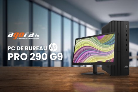 PC de Bureau HP Pro 290 G9 : Choix Idéal pour le stockage rapide